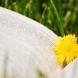 Newsletter Newsletter